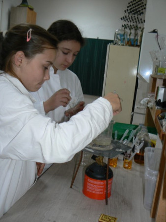 P1880067 (Small).JPG